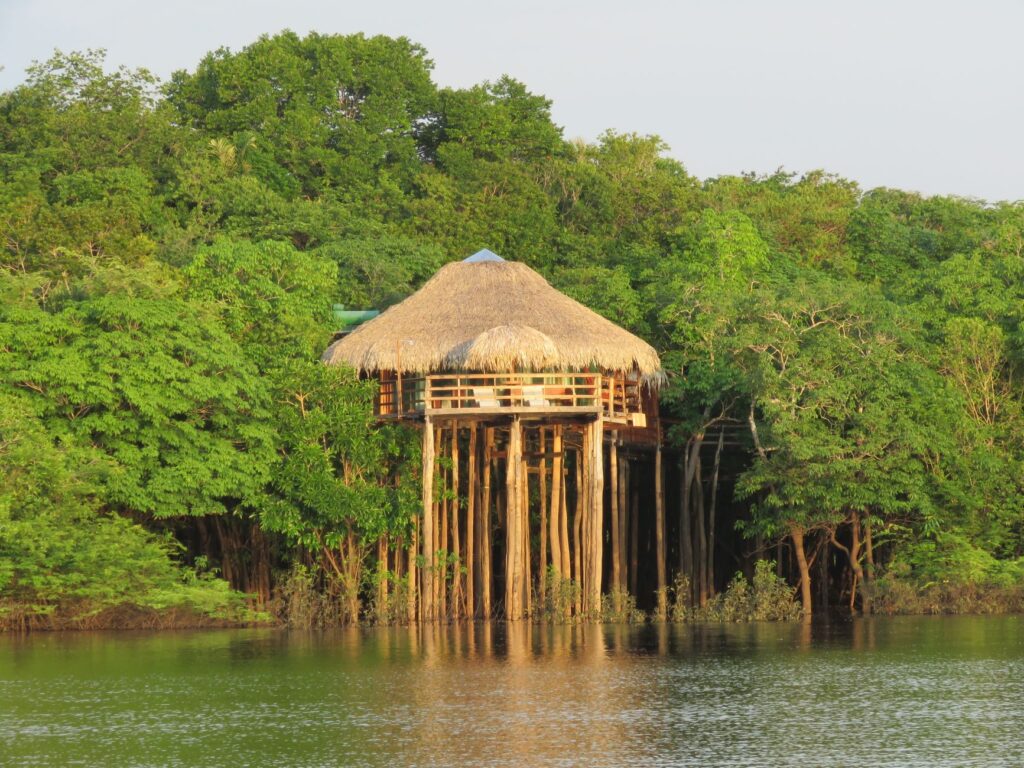 Marcenaria na Amazônia: tradição que inspira inovação
